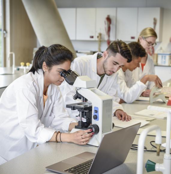 lab technicians using microscope