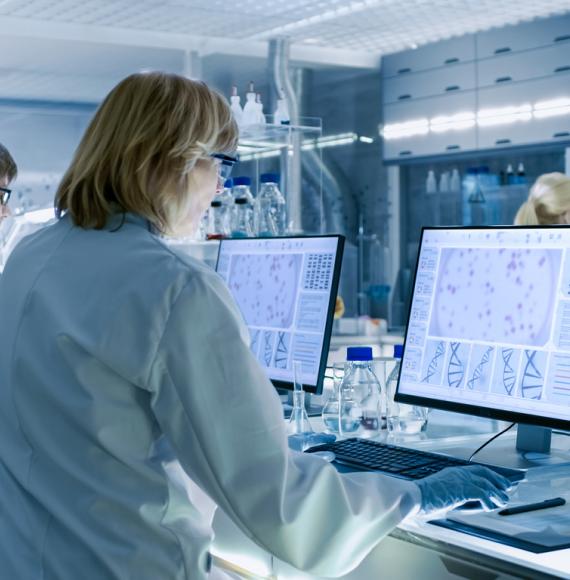 lab technicians using computers