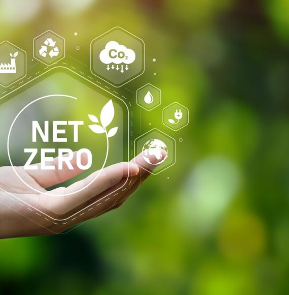 Net zero