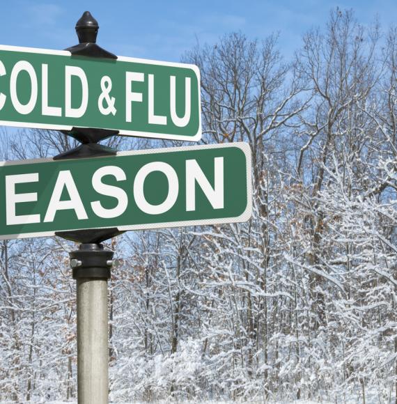 Festive road sign with cold and flu on it
