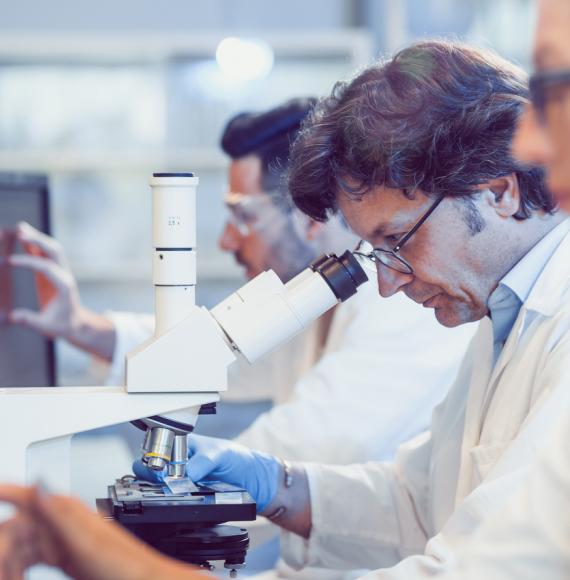 Scientists studying in a lab