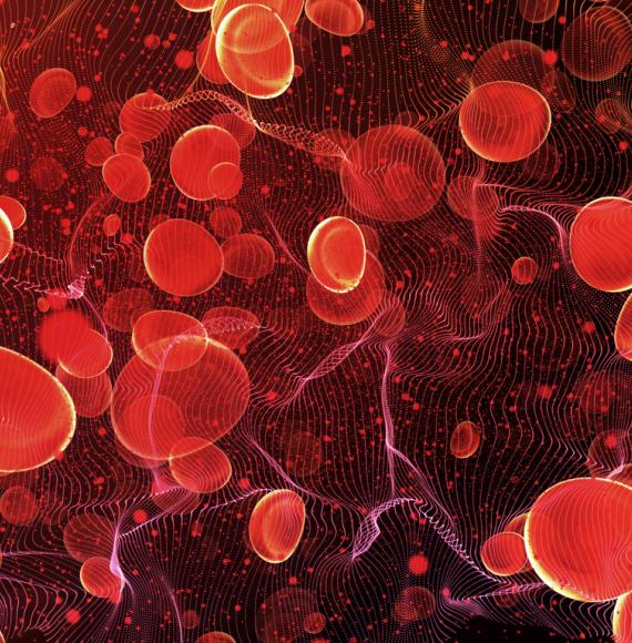 Red blood cells