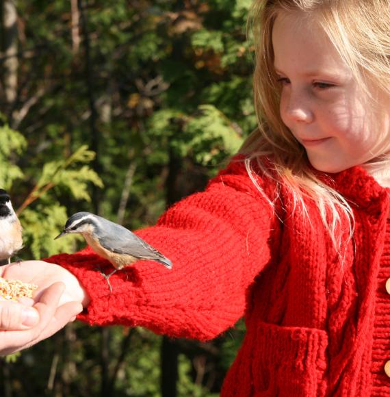 Girl helping feed a bird perched on her hand