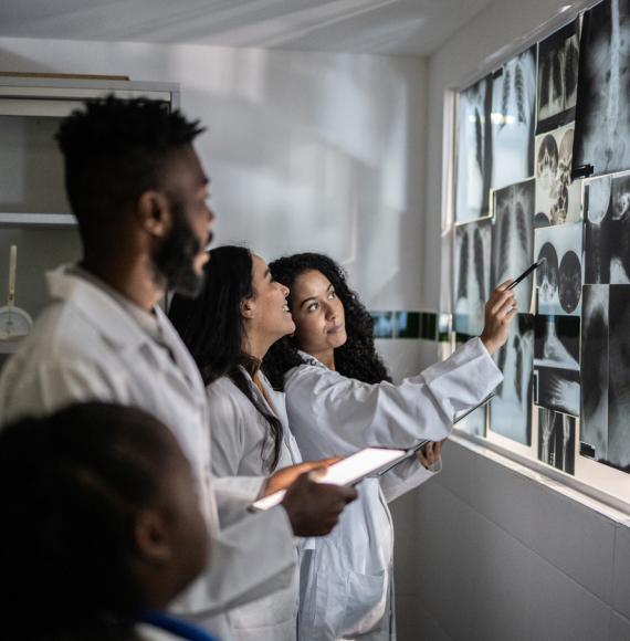 Radiographers analysing cancer scans