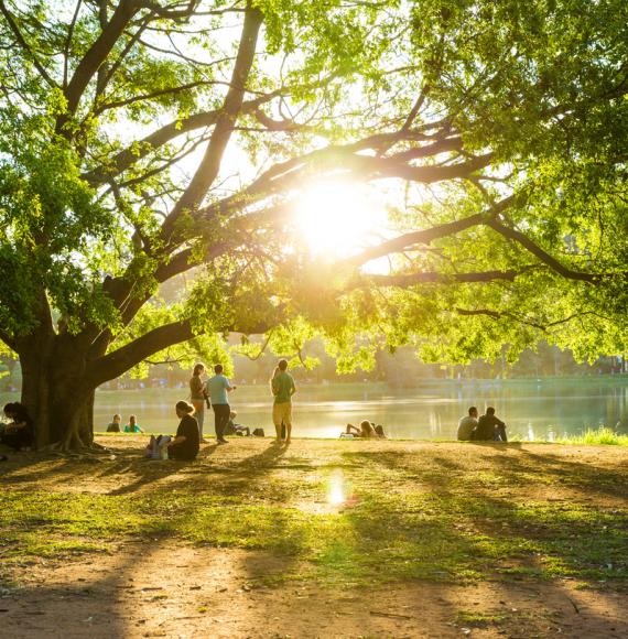 View of a park depicting how green space can improve mental health