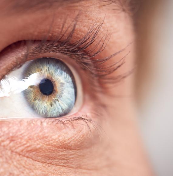 Close up of a woman's eye