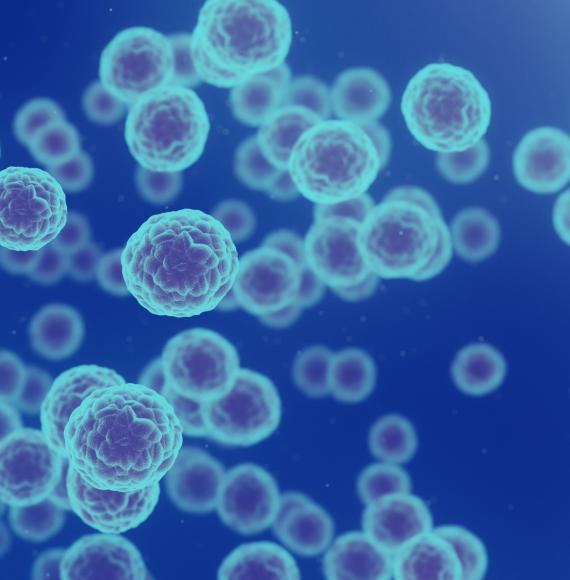 Cancer Cells