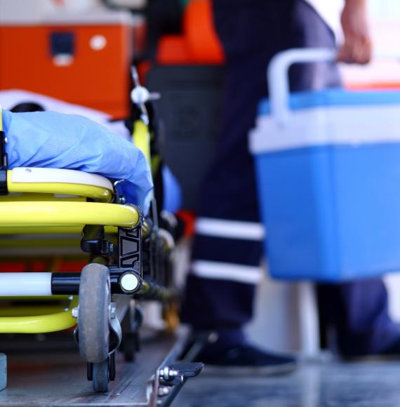 Human Organ Transplantation