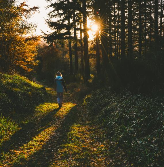 Nature for mental health