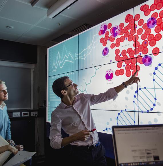 Clinical trial screen