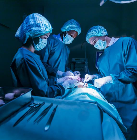 Liver transplant