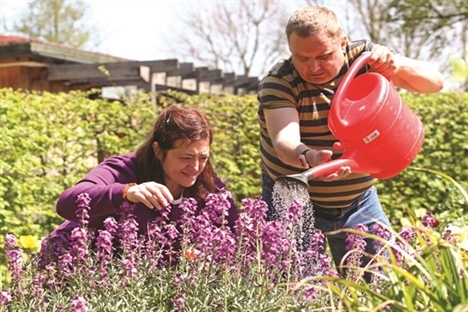 Gardening